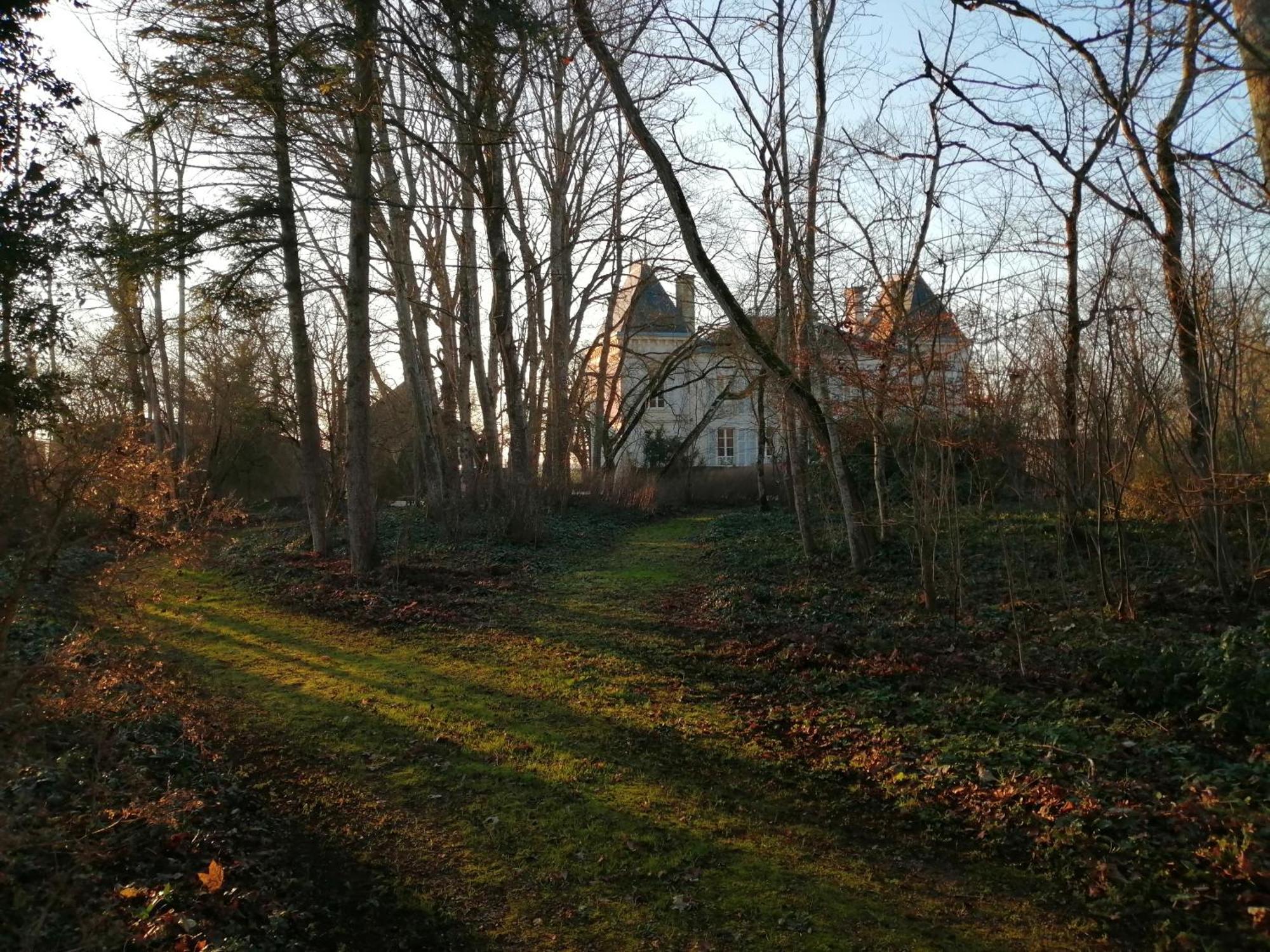 Bed and Breakfast Domaine De Prefond Bengy-sur-Craon Habitación foto